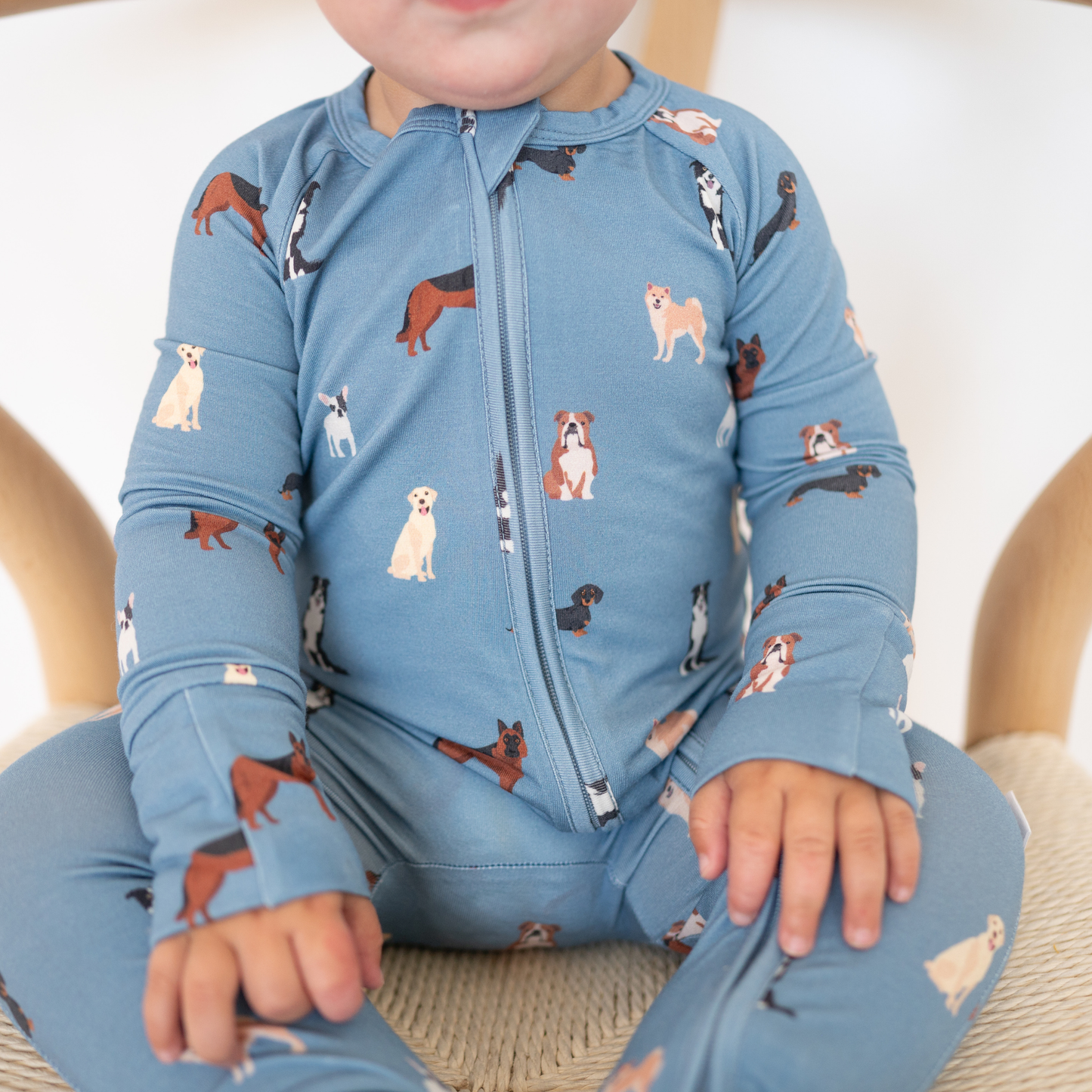 Bamboo 2-Way Convertible Zip Romper | Blue Dog