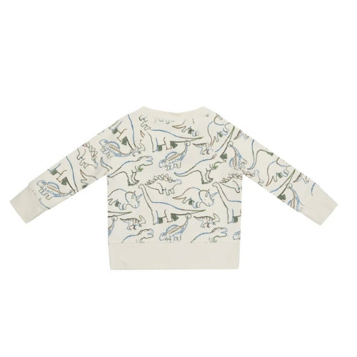 Raglan Sweatshirt And Jogger Set - Artsy Dinos