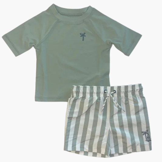 Toddler Boy Stripe Rash Guard Swim Set