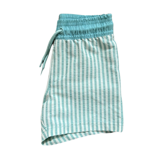 Toddler Boy Mint Green Stripe Swim Trunks