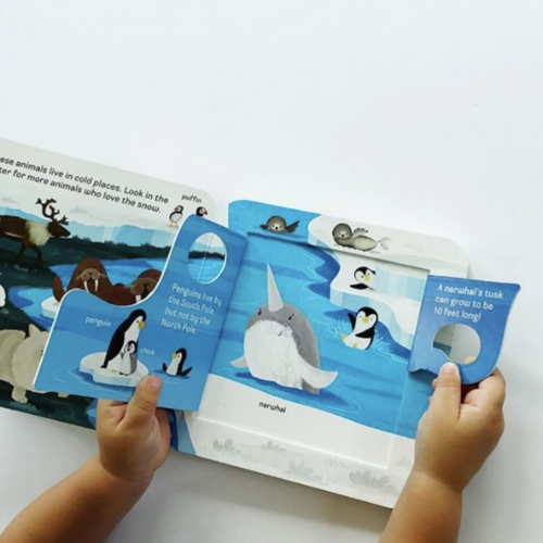 Zoo Peek a Flap Board Book