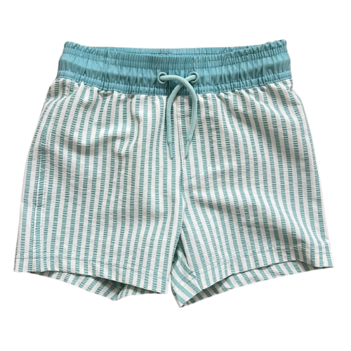 Toddler Boy Mint Green Stripe Swim Trunks