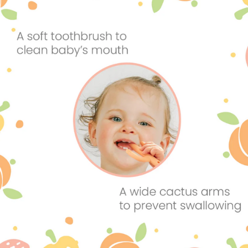 Cactus Infant Silicone Training Toothbrush Teether