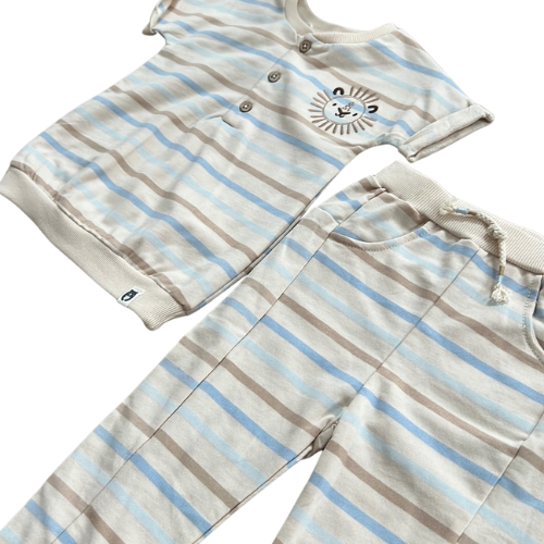 Lion and Stripes Short Sleeve Matching Set