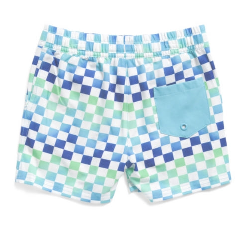 Blue Checker Swim Trunk